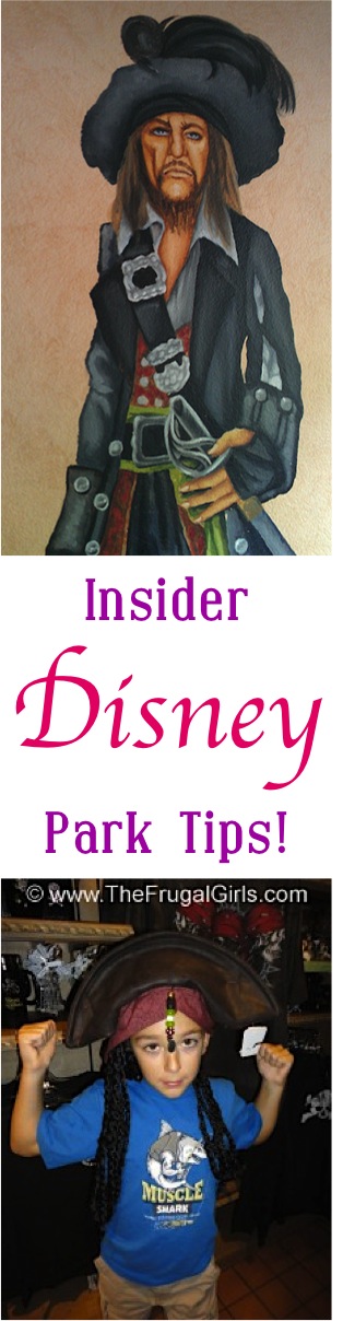 Disney Insider Park Tips