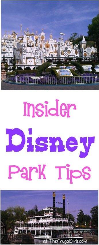 Insider Disney Park Tips