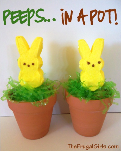 Peeps in a Pot from TheFrugalGirls.com