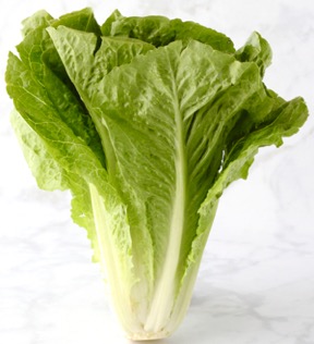 Lettuce Storage Hack for Crisp Leaves