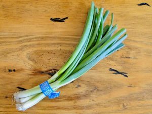 Growing Green Onions in Water Indoors! (Easy Trick) - The Frugal Girls