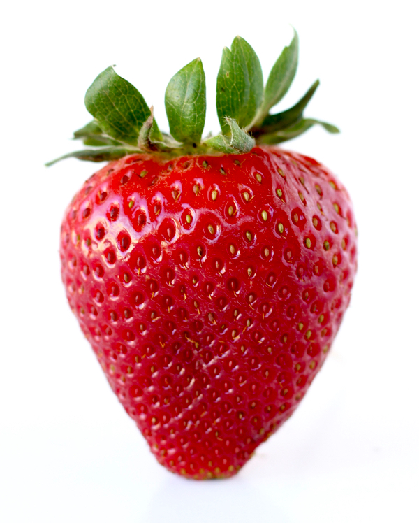 8 Tips to Protect Strawberries From Extreme Heat – Strawberry Plants