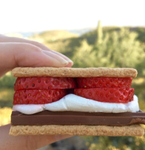 Person holding a strawberry S'more.