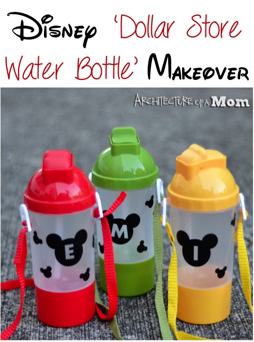 Disney Water Bottle Crafts at TheFrugalGirls.com