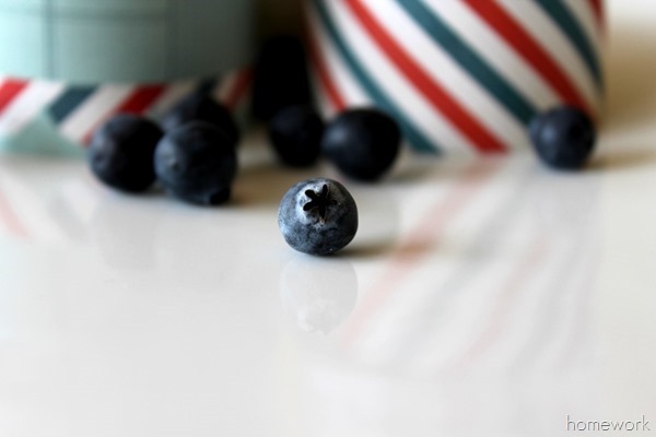 Patriotic Blueberry Dessert