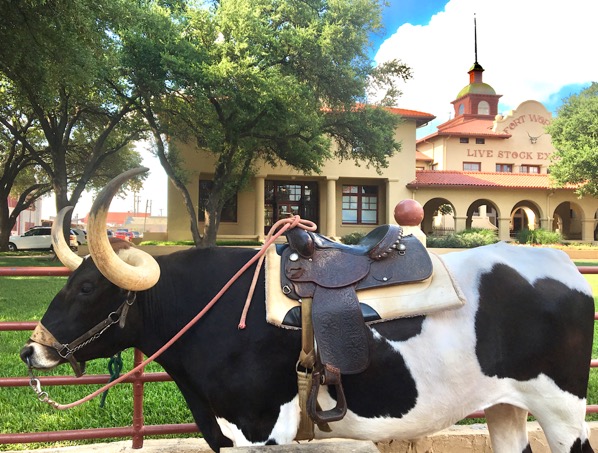 10 Best Things To Do In Dallas, Texas - Hand Luggage Only - Travel, Food &  Photography Blog