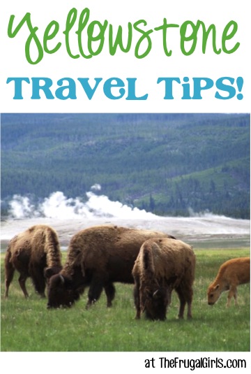 Best Yellowstone NP Travel Tips at TheFrugalGirls.com