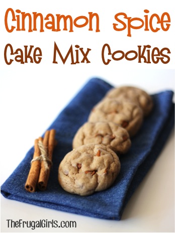 Cinnamon Spice Cake Mix Cookie Recipe at TheFrugalGirls.com