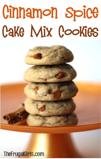 Cinnamon Spice Cake Mix Cookies Recipe at TheFrugalGirls.com