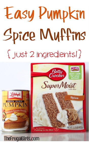 Easy Pumpkin Spice Muffins Recipe at TheFrugalGirls.com