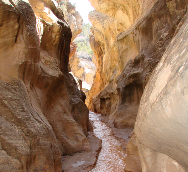 Utah Slot Canyons from TheFrugalGirls.com