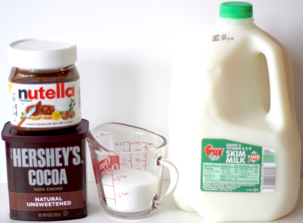 Best Easy Nutella Hot Chocolate Recipe