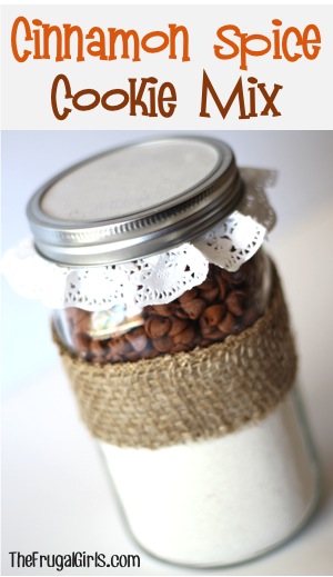 Cinnamon Spice Cookie Mix in a Jar at TheFrugalGirls.com