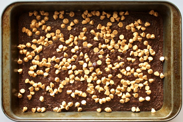 Easy Peanut Butter Brownies Recipe