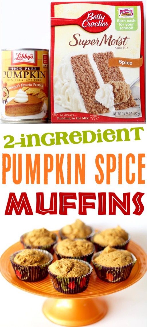 Pumpkin Muffins Easy 2 Ingredient Recipe