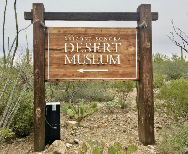 Arizona Sonora Desert Museum