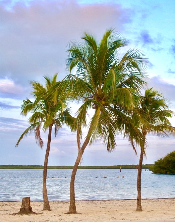 Florida Keys Travel Tips Vacation Ideas