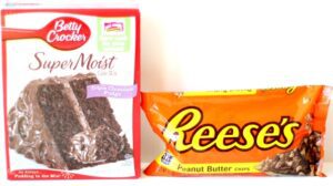 Triple chocolate fudge cake mix and peanut butter chips.