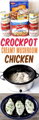 Crockpot Creamy Mushroom Chicken Recipe! (EASY)