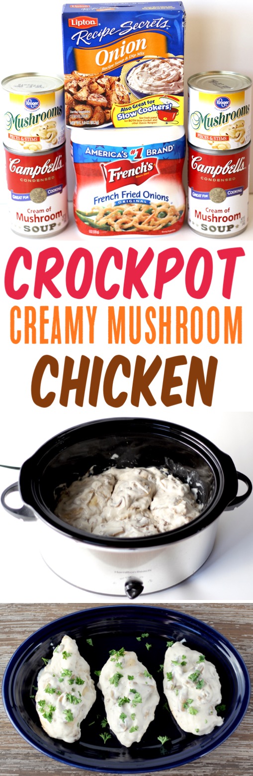 Crockpot Chicken Recipes Slow Cooker Mushroom Chicken Recipe Easy Crock Pot Dinner