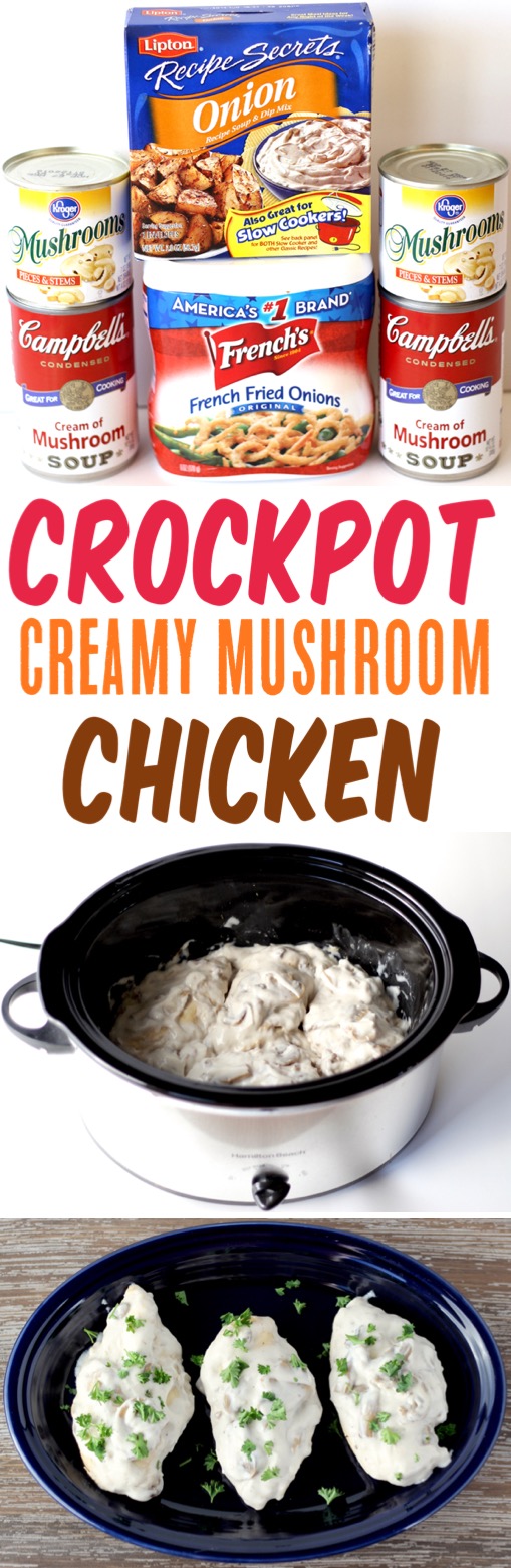 Crockpot Creamy Mushroom Chicken Recipe