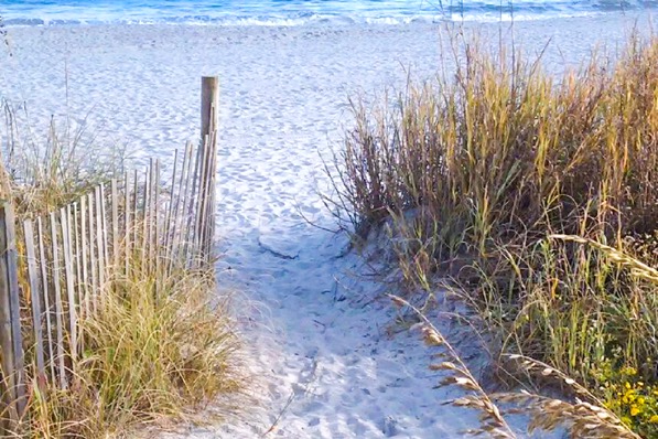 Don't miss these 6 hidden gems in Myrtle Beach