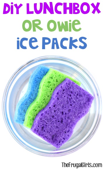 DIY Lunchbox, Cooler, or Owie Ice Packs - at TheFrugalGirls.com