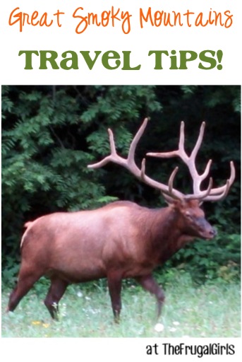 Great Smoky Mountains National Park Travel Tips at TheFrugalGirls.com
