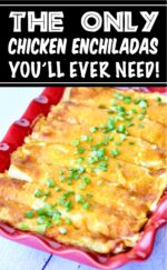 Creamy Chicken Enchiladas Recipe