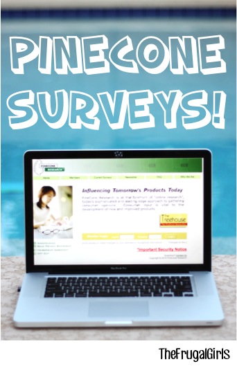 Pinecone Paid Surveys Accepting Applications at TheFrugalGirls.com