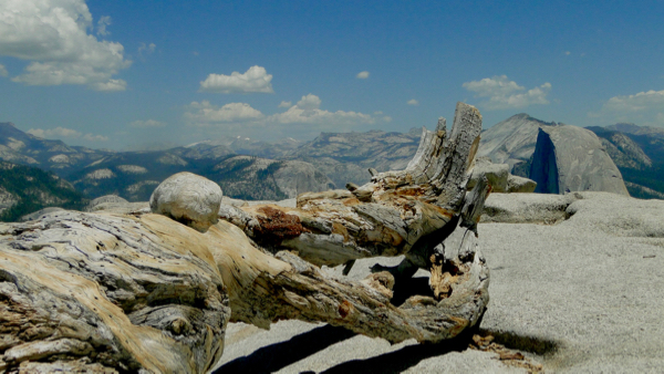 Yosemite Sentinel Dome - TheFrugalGirls.com