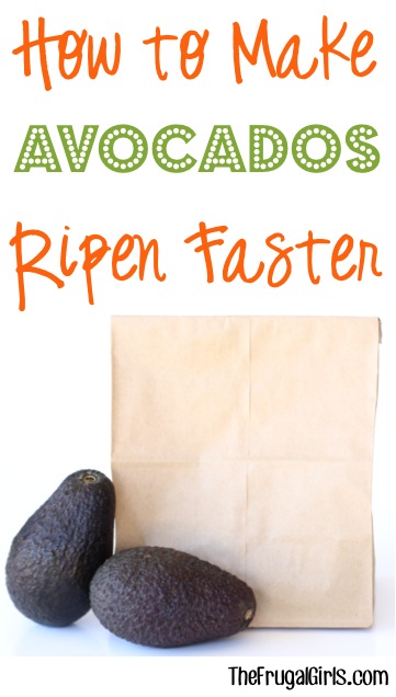 How to Make Avocados Ripen Faster- at TheFrugalGirls.com