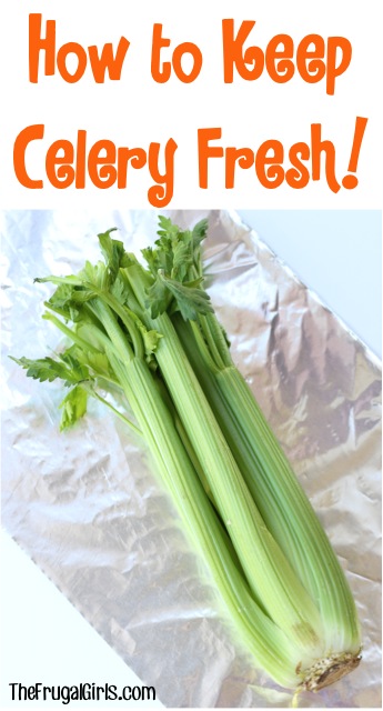 How to Keep Celery Fresh Tips - at TheFrugalGirls.com