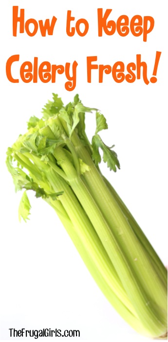 How to Keep Celery Fresh - tips at TheFrugalGirls.com
