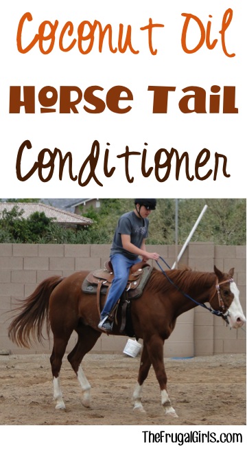 Horse Tail Coconut Oil Conditioner at TheFrugalGirls.com