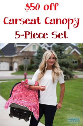 $50 off Carseat Canopy 5 Piece Set at TheFrugalGirls.com