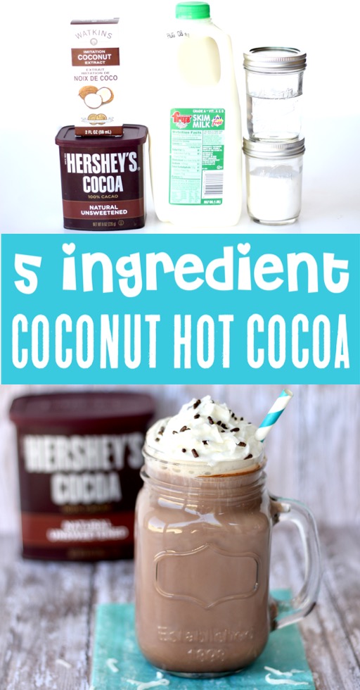 Crockpot Hot Chocolate Recipe - Easy Coconut Almond Joy Cocoa