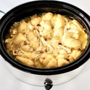 Chicken and dumplings with biscuits in a slow cooker.