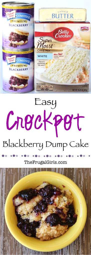 Crockpot Blackberry Dump Cake Recipe - at TheFrugalGirls.com