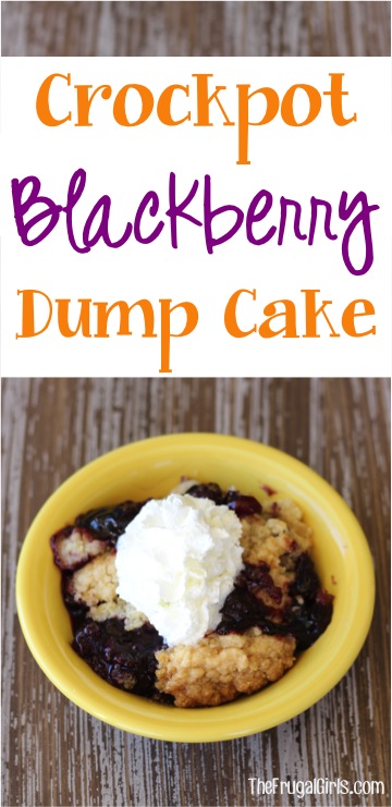 Crockpot Blackberry Dump Cake Recipe from TheFrugalGirls.com