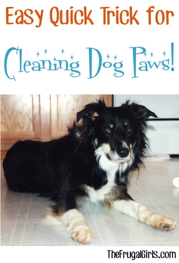 Cleaning Dog Paws at TheFrugalGIrls.com