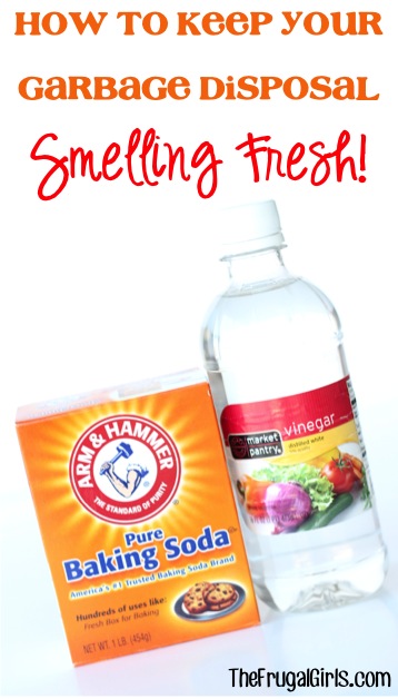 How to Keep Your Garbage Disposal Smelling Fresh from TheFrugalGirls.com