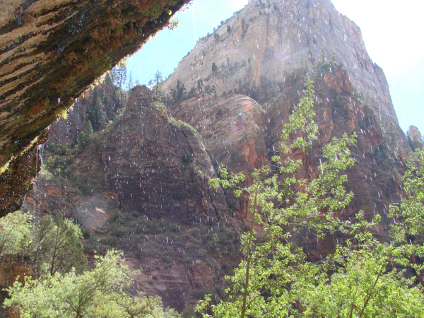 Zion Canyon Weeping Rock Trail | TheFrugalGirls.com