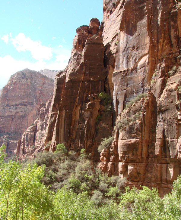 Zion Weeping Rock Hike | TheFrugalGirls.com