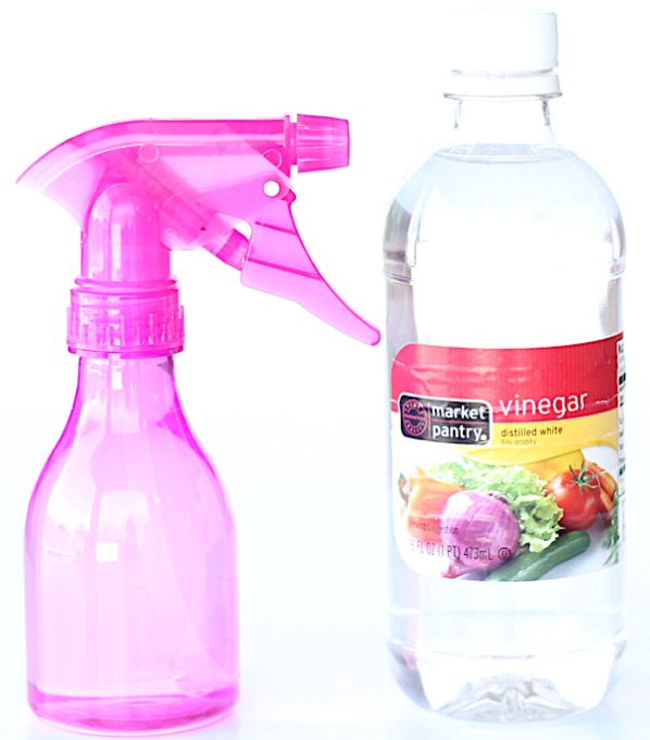 DIY Natural Fruit and Veggie Wash Spray + Soak (3 Recipes)