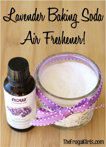 Lavender Baking Soda DIY Air Freshener from TheFrugalGirls.com