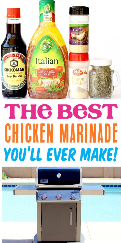 Chicken Marinade for the Grill or Baked in the Oven Easy Recipes