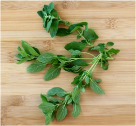 How to Dry Oregano