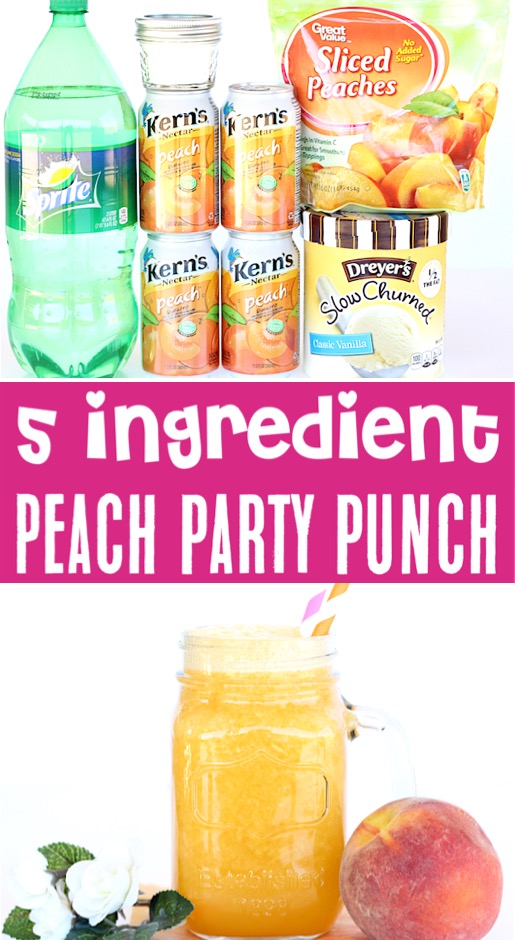 Party Punch Recipes - Crowd Pleasers Kids and Adults Will Love - Sparkling Peach Punch Recipe