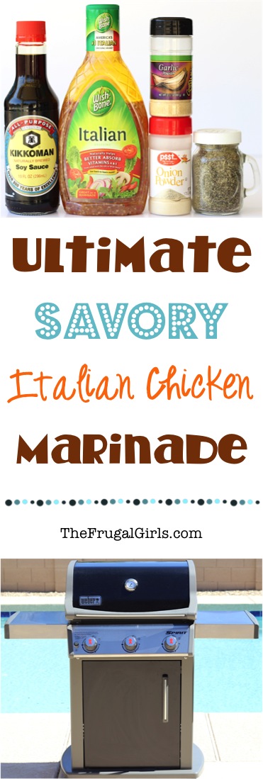Savory Chicken Marinade Recipe from TheFrugalGirls.com